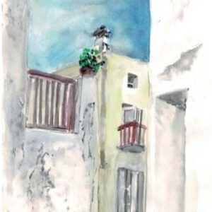 0354-裏道から望む